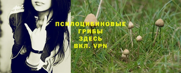 прущие крисы Аркадак