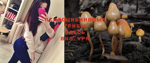 прущие грибы Армянск