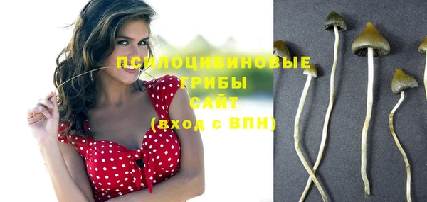 apvp Арсеньев